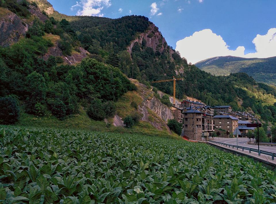 Living in Andorra: A Resident's Guide to Moving